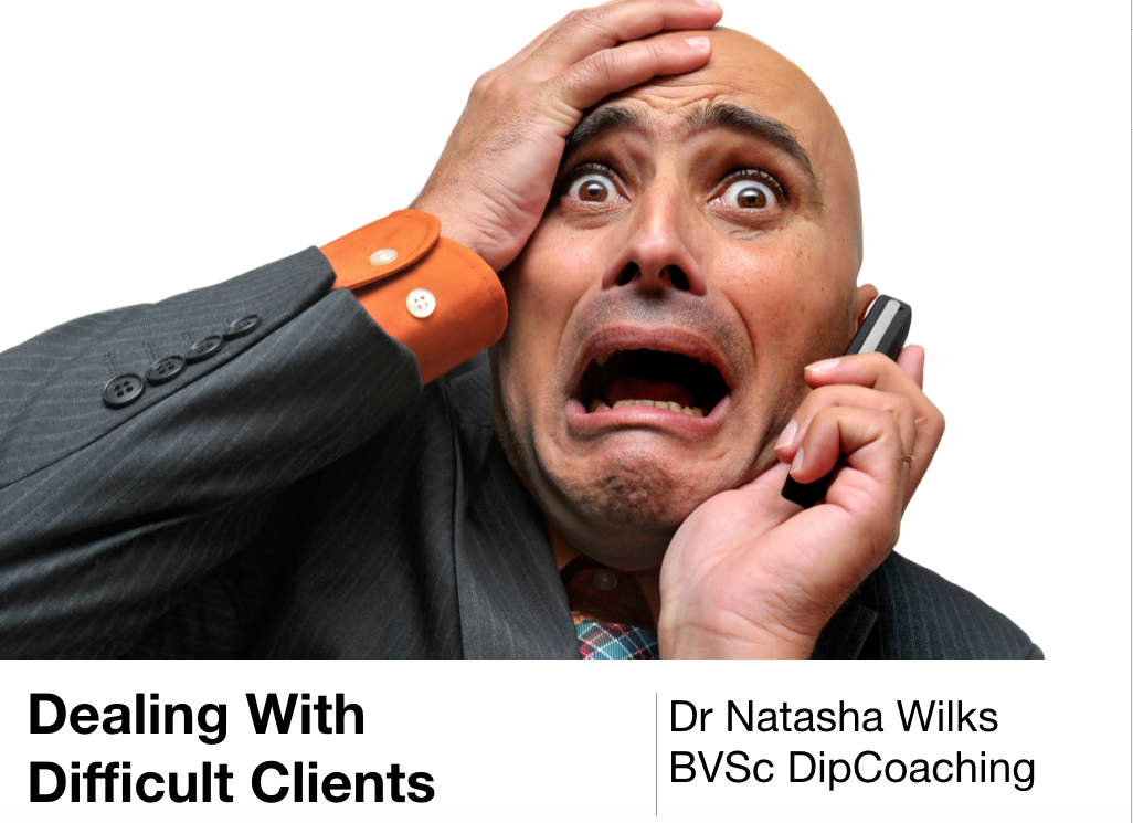 Dealing with Difficult Clients